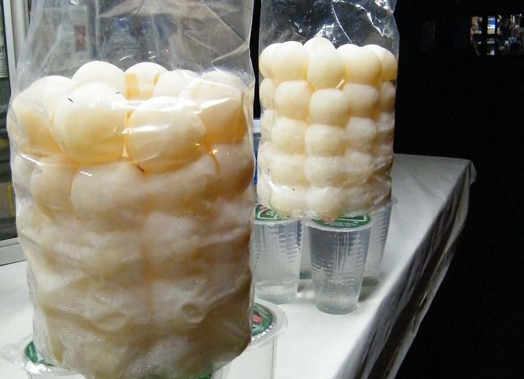 Sale of turtle eggs
