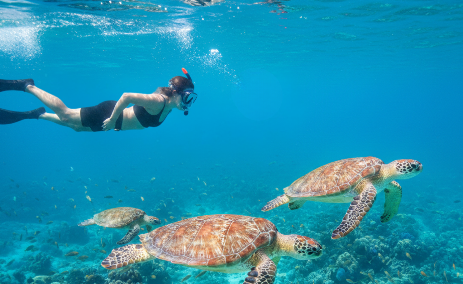 Snorkling
