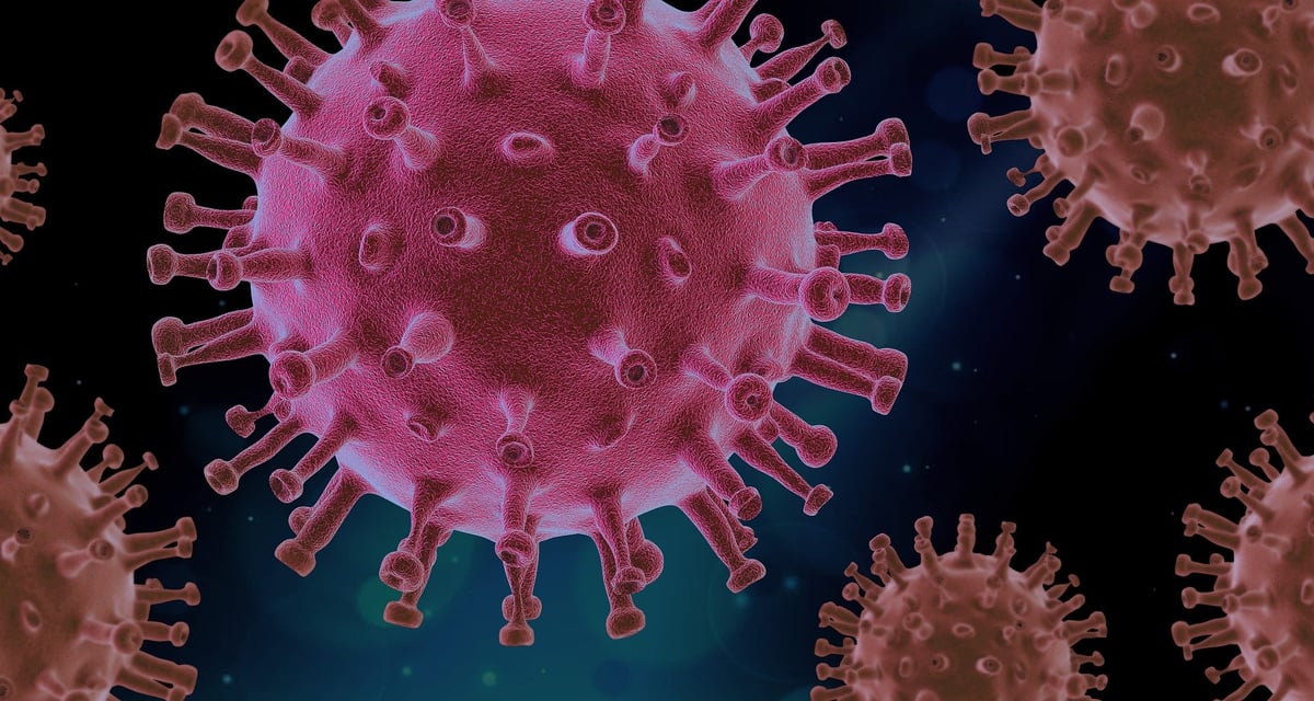 MPSV potvrzuje: Neziskové organizace mohou žádat o podporu z programu ANTIVIRUS