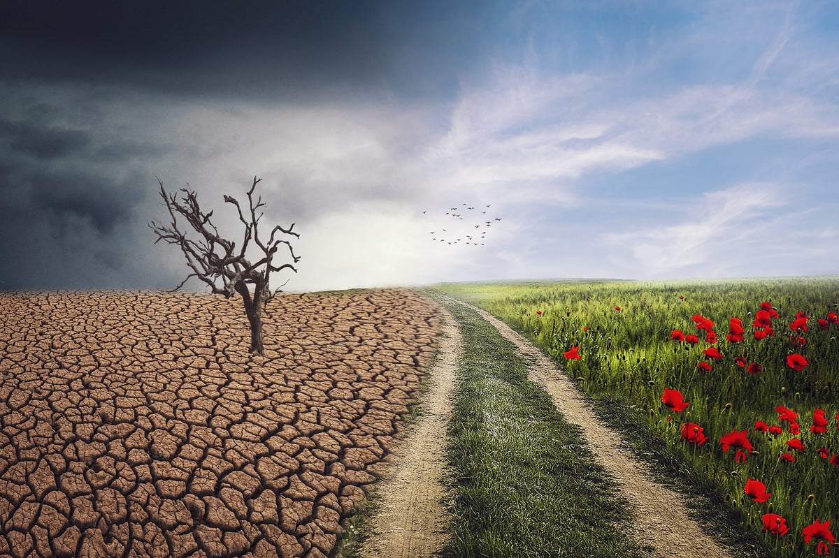 Nevládní organizace žádají vládu, aby řešení koronavirové krize spojila s řešením otázek změny klimatu