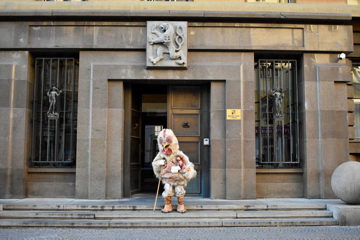 Albert stáhl žalobu na ochránce zvířat. Pomohl i tlak desítek organizací
