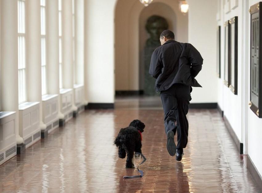 Barack Obama – nový lídr neziskovek?