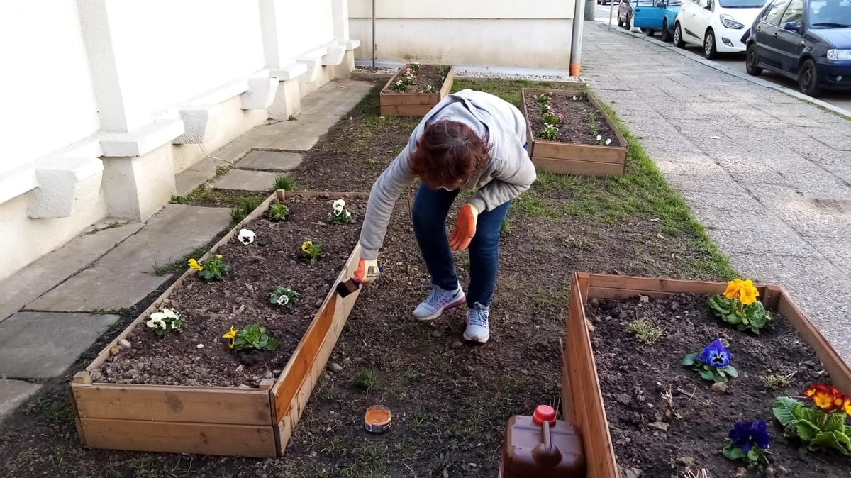 Navštivte komunitní zahradu pro ženy bez domova. Díky sbírce se dočkala revitalizace