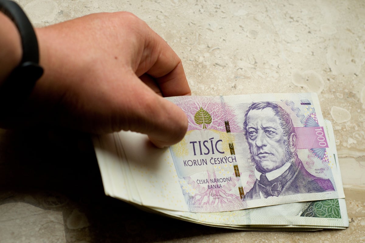 Milostivé léto jde do finále. Opravdu pomůže vyřešit dluhovou situaci v Česku?