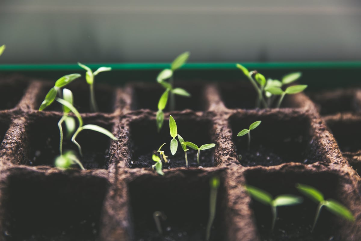 Měsíční akademie pro neziskovky Grow with Google