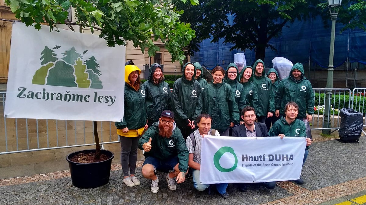 Jak Enti zachraňovali lesy: Příběh advokační kampaně Hnutí DUHA
