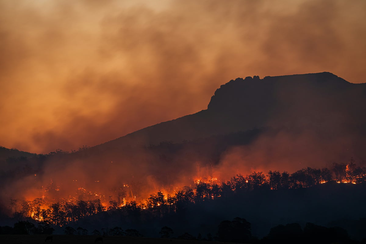 Když smysl nestačí: Vyhoření v klimatických neziskových organizacích pod tlakem systému i svědomí
