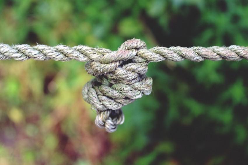 Neziskovkám se už nyní daří táhnout za jeden provaz, efekt často utužují koalice a asociace. Foto: PixaBay