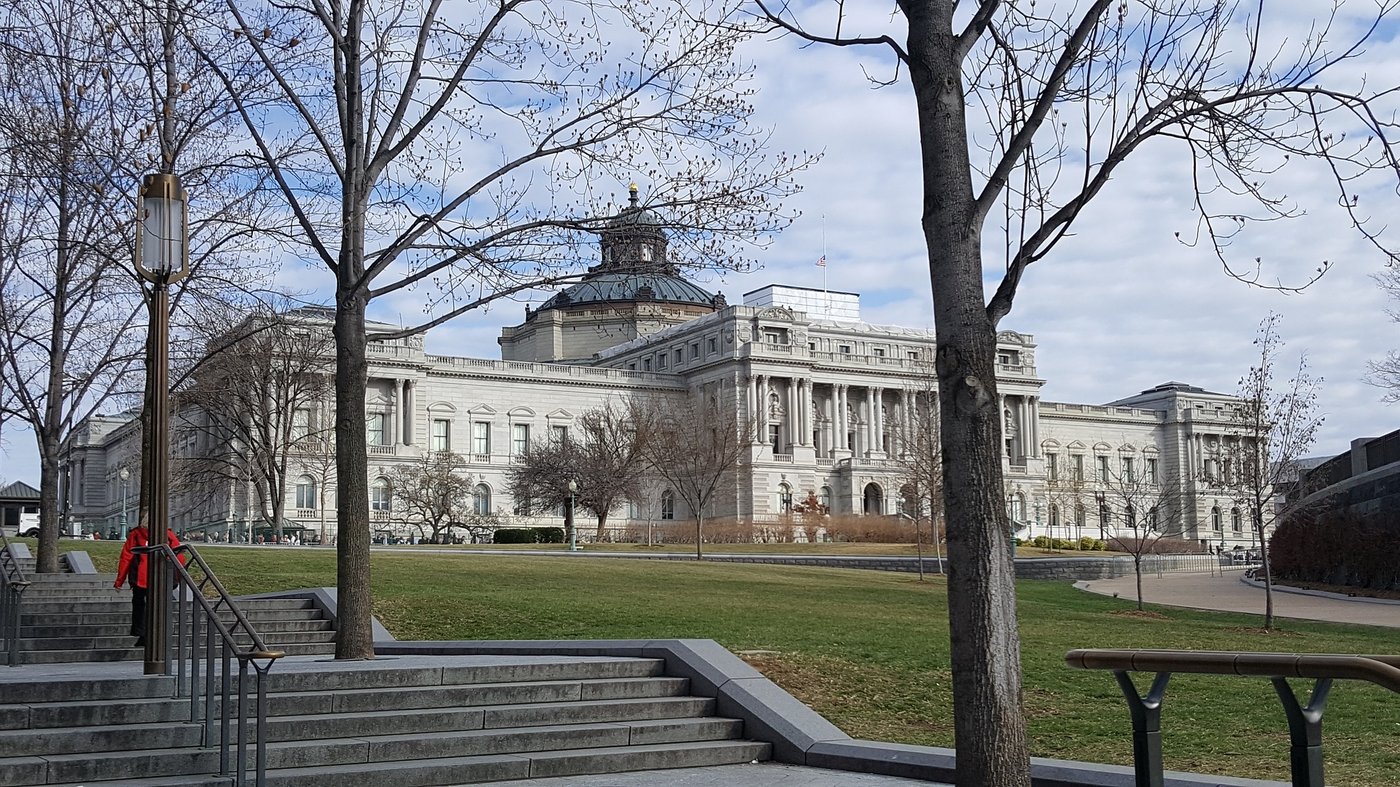 Luisa se z Washingtonu opět spojí s českými nevládkami. Pod záštitou U.S. Embassy proběhne 27. 5. její druhý online workshop - tentokrát o systémových změnách. Foto: PixaBay
