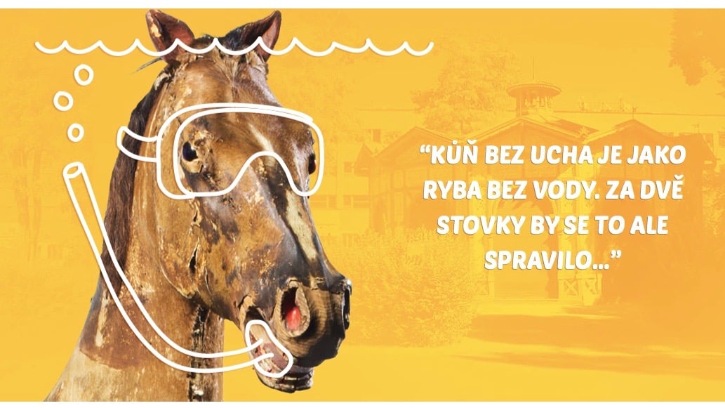 Zdroj: www.letenskykolotoc.cz