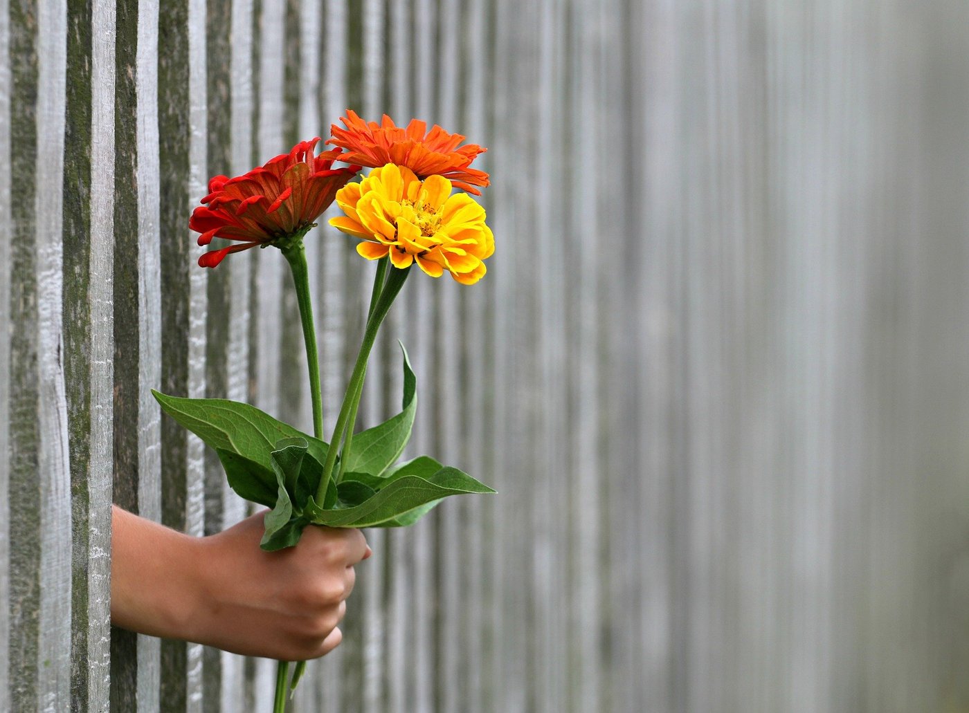 S žádostí o dar se nemůžete objevit zničehonic. Nejprve je třeba dárce pořádně poznat - jeho potřeby, dárcovskou kapacitu, preference. Foto: Pixabay