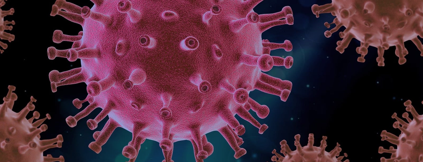 MPSV potvrzuje: Neziskové organizace mohou žádat o podporu z programu ANTIVIRUS