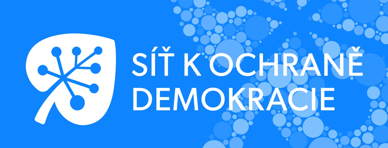 Síť k ochraně demokracie (SKOD): Chraňme demokracii celoročně