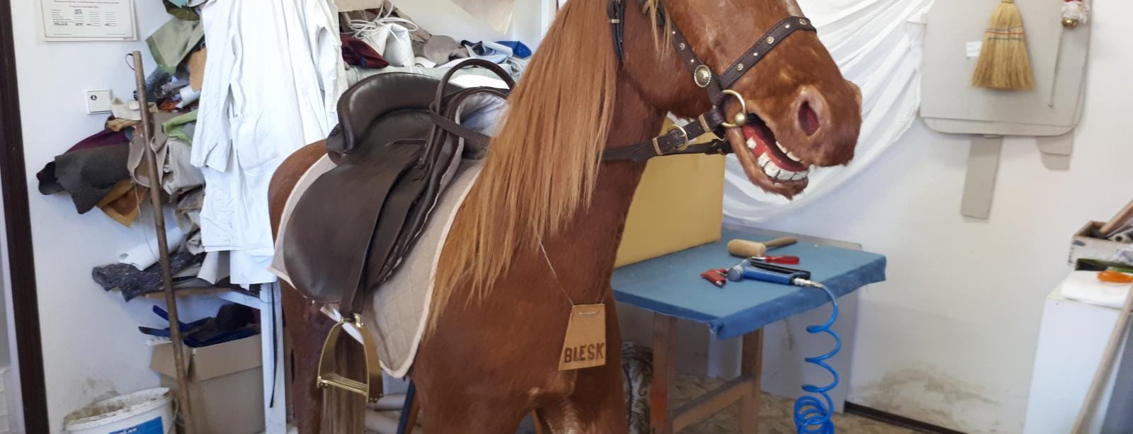 Když kůň promluví aneb Jak se díky veřejné sbírce roztočí kolotoč na Letné