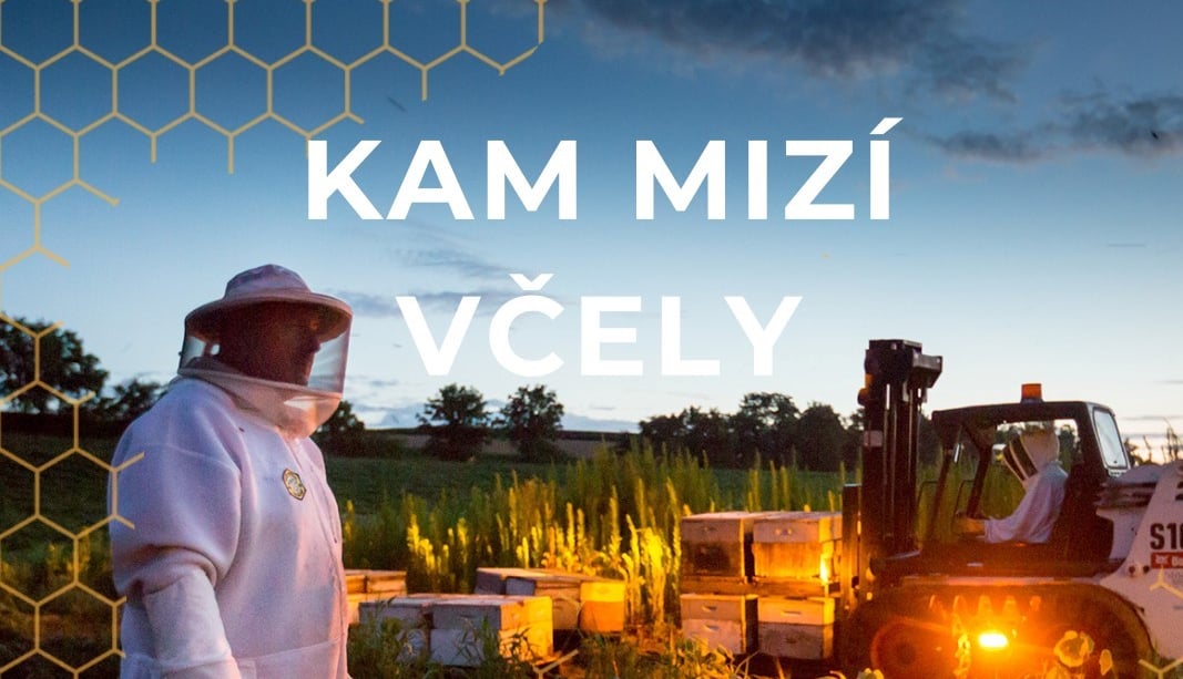 Festival Země na talíři se ponese na křídlech včel – již 20. 7.