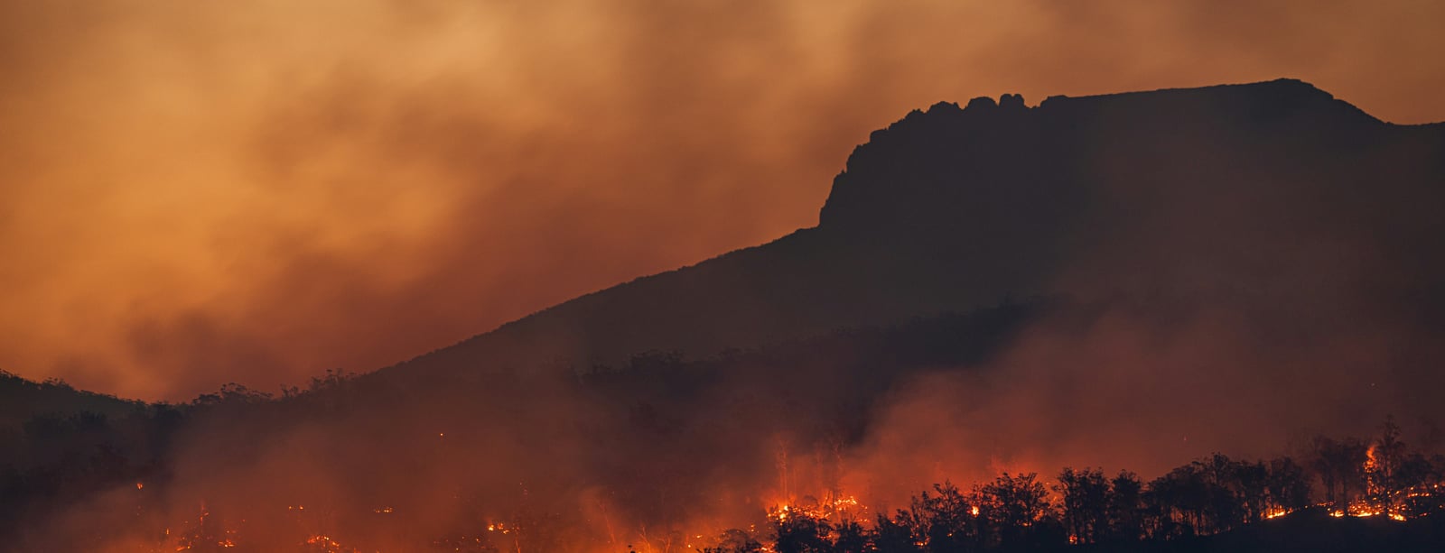 Když smysl nestačí: Vyhoření v klimatických neziskových organizacích pod tlakem systému i svědomí