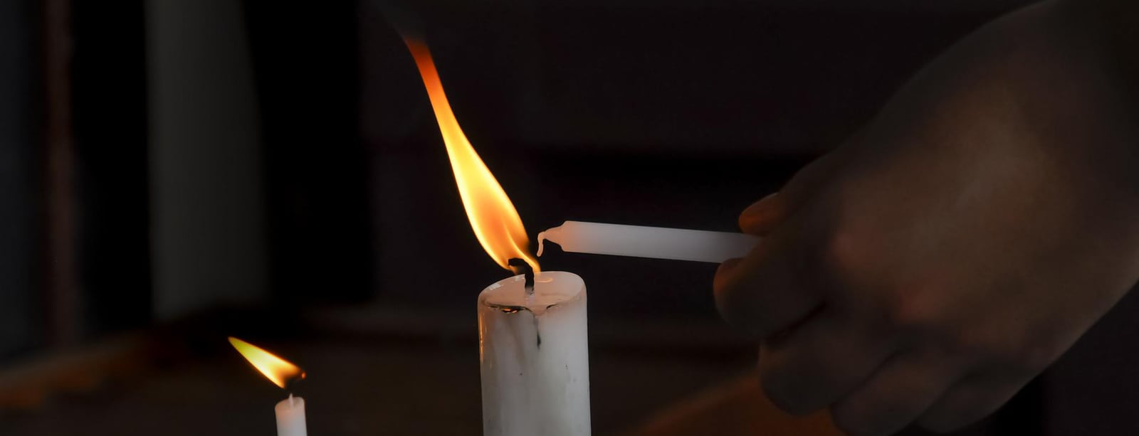 Půst, chlup pusť! aneb O filantropickém rozměru Velikonoc