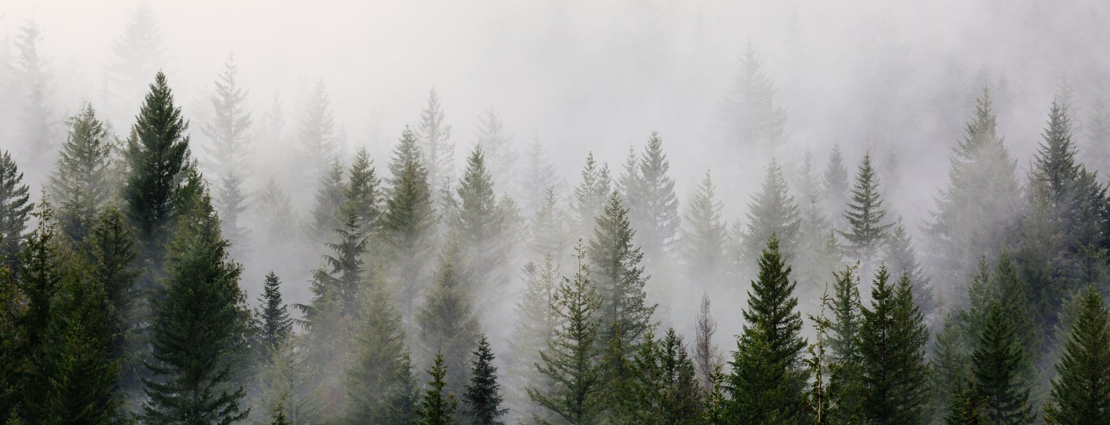 Bezplatný e-learningový kurz Globální změna klimatu
