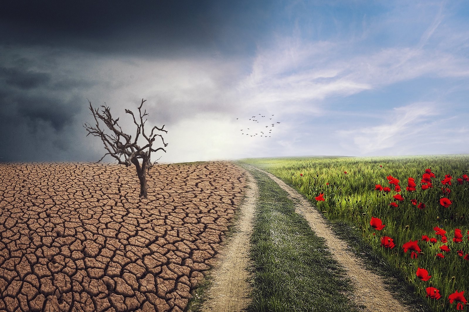 Nevládní organizace žádají vládu, aby řešení koronavirové krize spojila s řešením otázek změny klimatu