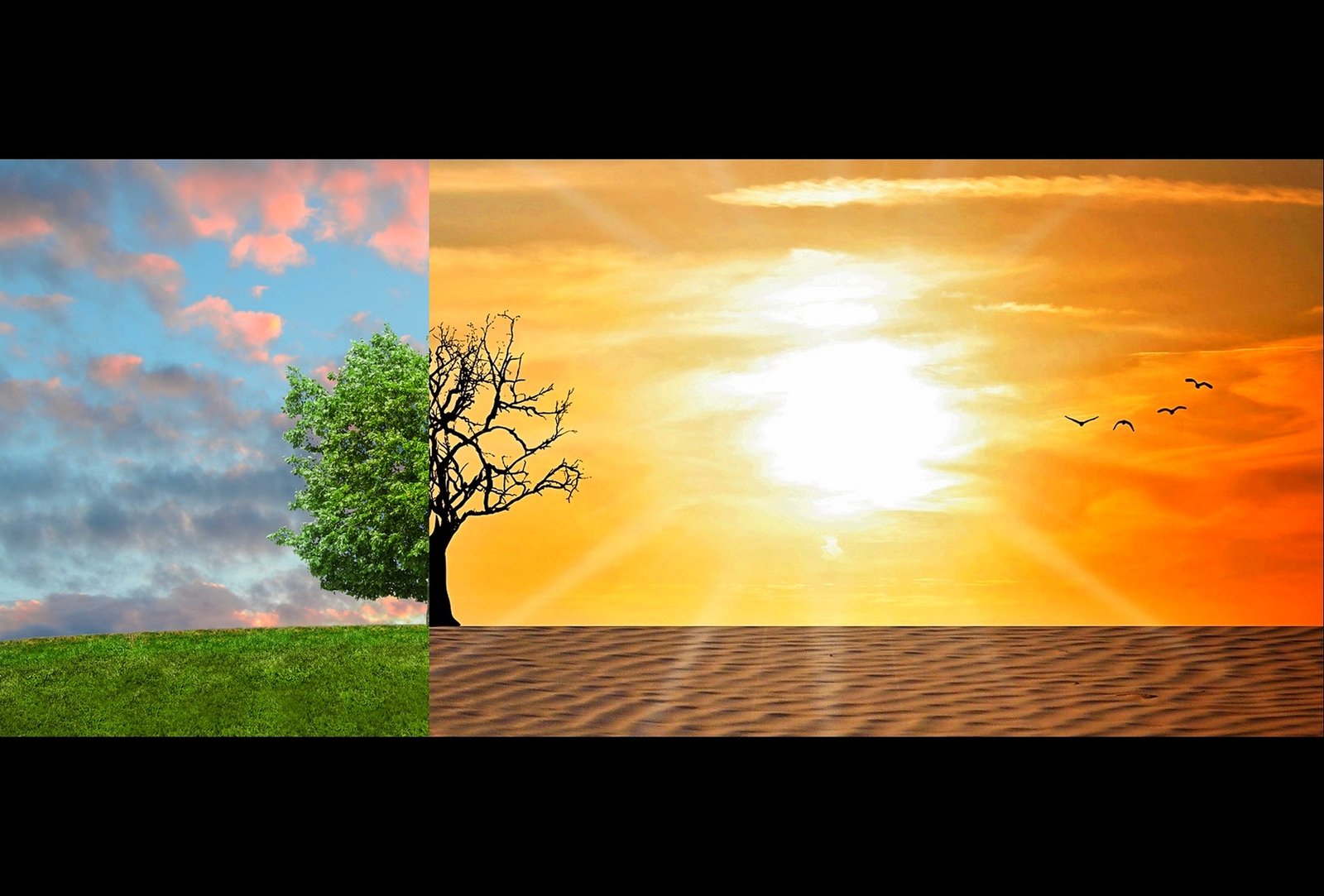 Kdo zvítězí v boji se změnou klimatu? Vyberte svého favorita mezi pěti finalisty cen SDGs 2020