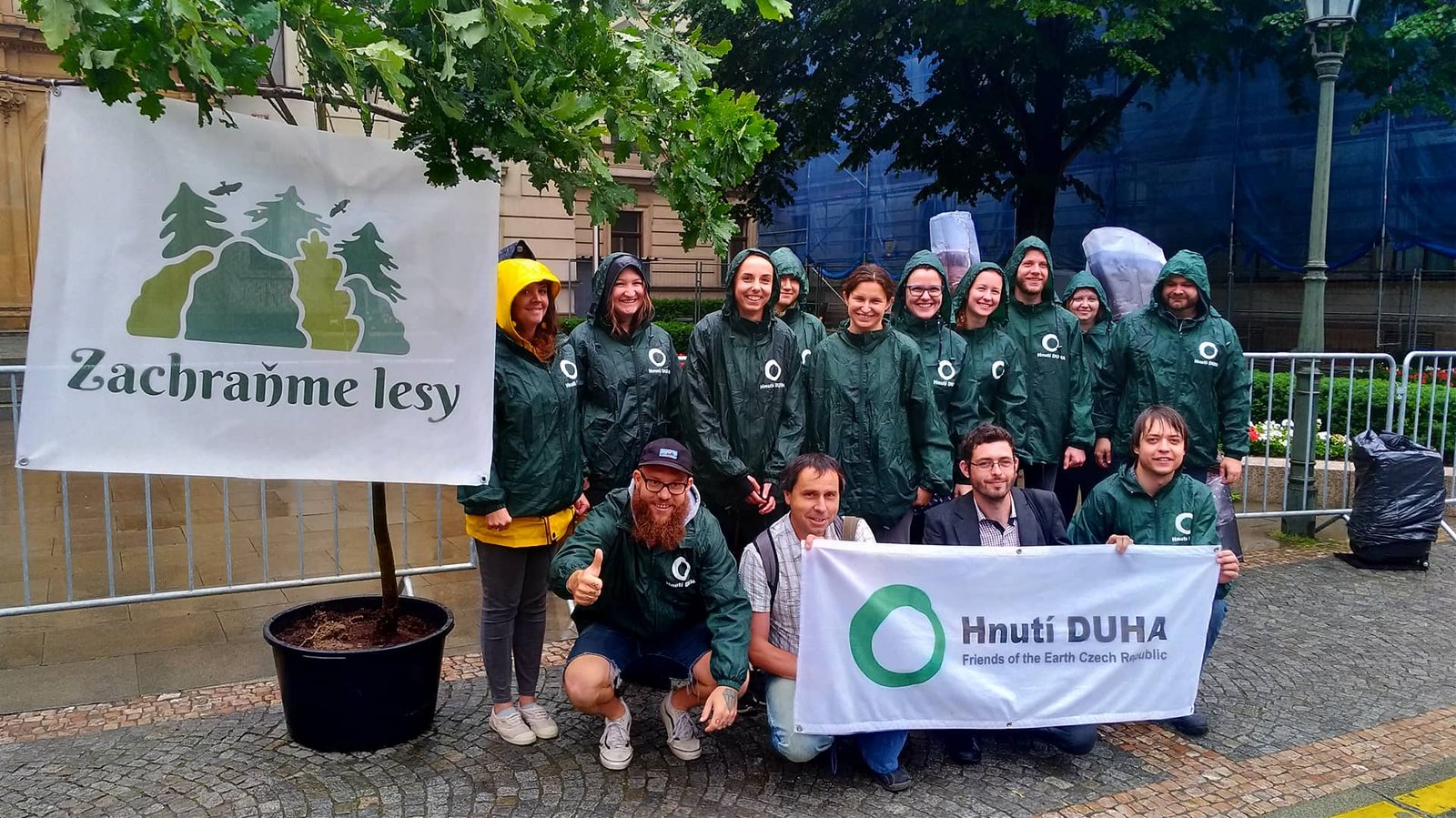 Jak Enti zachraňovali lesy: Příběh advokační kampaně Hnutí DUHA