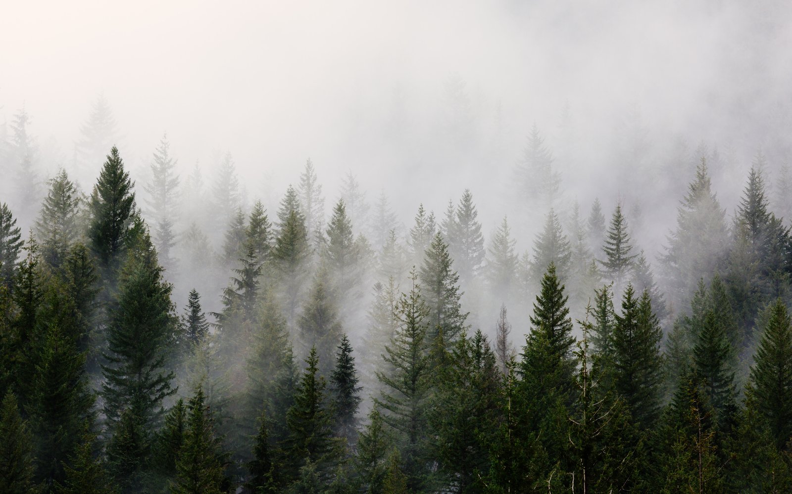 Bezplatný e-learningový kurz Globální změna klimatu