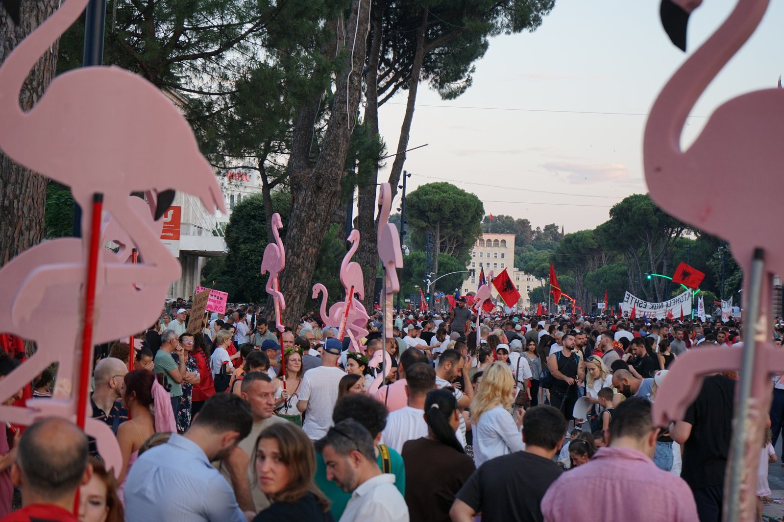Plameňáková revoluce v Albánii ukazuje co umí nespokojená občanská společnost
