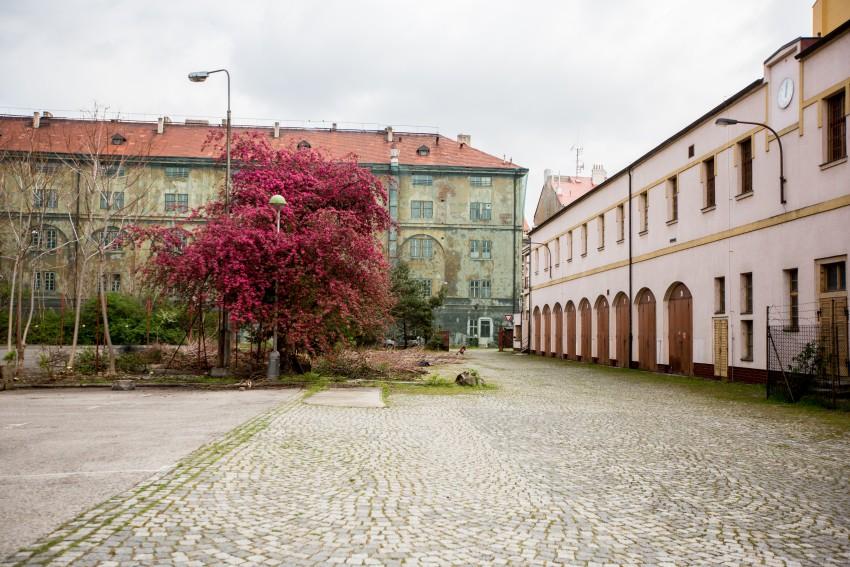 Matěj usiluje o zachování divokosti Kasáren. “Nechci to tu přetunit,” říká. Foto: Dorota Velek